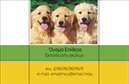 Επαγγελματικές κάρτες - Ζώα - Κωδικός:86893
