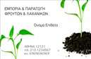 Επαγγελματική κάρτα για επαγγελματίες του κλάδου φρούτων και λαχανικώνΑνακαλύψτε την ιδανική επαγγελματική κάρτα που συνδυάζει τη φρεσκάδα και την ποιότητα, αποτυπώνοντας την εικόνα του επαγγέλματος σας. Το εντυπωσιακό σχέδιο της κάρτας περιλαμβάνει ζωντανά χρώματα που ανταγωνίζονται τη φυσική ομορφιά των φρούτων και εποχιακών λαχανικών, δημιουργώντας έναν οπτικό ερεθισμό που δεν περνάει απαρατήρητος.Η διάταξη είναι προσεγμένη, με ευανάγνωστη γραμματοσειρά που προσφέρει επαγγελματική αίσθηση, ενώ τα background στοιχεία προσθέτουν βάθος και χαρακτήρα στην κάρτα. Αυτό το εντυπωσιακό σχέδιο ενσωματώνει την αισθητική του κλάδου, χαρίζοντας μια αίσθηση φρεσκάδας και υγείας, συμβολίζοντας τις υπηρεσίες που προσφέρετε.Ο επαγγελματικός χαρακτήρας της κάρτας εκφράζεται μέσω της καθαρότητας και της αισθητικής της, προσδίδοντας αξιοπιστία στους πελάτες σας. Οι επαγγελματικές κάρτες σας θα αποτυπώσουν την εντύπωση του έμπειρου επαγγελματία στον τομέα των φρούτων και λαχανικών, εξασφαλίζοντας ότι δεν θα περάσετε απαρατήρητοι.Υπάρχει η δυνατότητα προσθήκης στοιχείων όπως το όνομα, το τηλέφωνο, το λογότυπο και άλλες πληροφορίες επικοινωνίας, προσαρμόζοντας την κάρτα σύμφωνα με τις ανάγκες σας. Αν είναι σχετικό, μπορείτε να προσθέσετε εικόνες των προϊόντων σας, καθώς και να προβάλτε τις υπηρεσίες σας με εντυπωσιακό τρόπο.Αυτή η κάρτα σας δίνει τη δυνατότητα να ξεχωρίσετε και να αφήσετε μια θετική εντύπωση στους πελάτες σας. Μπορείτε να κάνετε όποιες αλλαγές θέλετε μέσω του online σχεδιαστικού εργαλείου.