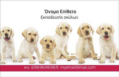Επαγγελματική κάρτα για Ζωολογικούς ΕπαγγελματίεςΗ επαγγελματική κάρτα αυτή εξασφαλίζει μια εντυπωσιακή και ελκυστική παρουσία για τους επαγγελματίες του τομέα των ζώων. Ο συνολικός σχεδιασμός της κάρτας είναι παιχνιδιάρικος και ταυτόχρονα κομψός, με ζωντανά χρώματα που αποπνέουν τη χαρά και τη ζωή του κόσμου των ζώων. Η διάταξη είναι προσεγμένη, με καθαρές γραμμές και καλαίσθητες λεπτομέρειες που προσελκύουν το βλέμμα.Η γραμματοσειρά είναι μοντέρνα και ευανάγνωστη, εξασφαλίζοντας ότι όλα τα στοιχεία είναι ευδιάκριτα. Το background περιλαμβάνει σχέδια που σχετίζονται με τα ζώα, προσθέτοντας μια δημιουργική πινελιά που ενισχύει τη θεματολογία της κάρτας.Το σχέδιο της κάρτας όχι μόνο αποτυπώνει την αγάπη για τα ζώα, αλλά και την επαγγελματική αξιοπιστία. Κάθε επαγγελματίας που εξετάζει αυτήν την κάρτα, θα νιώσει τη σιγουριά ότι συνεργάζεται με έναν ειδικό στον τομέα του.Η κάρτα παρέχει τη δυνατότητα προσθήκης στοιχείων όπως όνομα, τηλέφωνο, και λογότυπο, διευκολύνοντας την επικοινωνία και τη δικτύωση. Επιπλέον, μπορεί να προβάλλει με σαφήνεια τις υπηρεσίες ή τα προϊόντα που σχετίζονται με τη φροντίδα και εκπαίδευση ζώων.Αυτή η επαγγελματική κάρτα βοηθά τον επαγγελματία να ξεχωρίσει στον τομέα του και να αφήσει θετική εντύπωση στους πελάτες του.Μπορείτε να κάνετε όποιες αλλαγές θέλετε μέσω του online σχεδιαστικού εργαλείου.