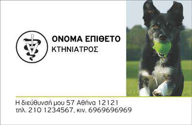 Επαγγελματική κάρτα για ΚτηνίατροιΑνακαλύψτε την ιδανική επαγγελματική κάρτα για τους κτηνίατρους που επιθυμούν να ξεχωρίσουν στους τομείς της υγειονομικής περίθαλψης ζώων. Ο σύγχρονος σχεδιασμός ενσωματώνει ζωντανά χρώματα και καθαρές γραμμές, προσφέροντας μια ευχάριστη και επαγγελματική οπτική. Η διάταξη είναι προσεγμένη, με καλαίσθητες εικόνες που αποτυπώνουν τη φροντίδα για τα ζώα, σε συνδυασμό με γραμματοσειρές που αποπνέουν σοβαρότητα και αξιοπιστία.Το σχέδιο δεν είναι μόνο ελκυστικό, αλλά επίσης αντανακλά τον επαγγελματισμό και τη δέσμευση των κτηνιάτρων στην περίθαλψη των κατοικίδιων φίλων μας. Οι επαγγελματικές κάρτες αυτές είναι κατάλληλες για να ενισχύσουν την εμπιστοσύνη των πελατών και να προβάλουν την εμπειρία σας στον τομέα.Η προσαρμοστικότητα της κάρτας επιτρέπει την εύκολη προσθήκη στοιχείων όπως το όνομα, το τηλέφωνο, το λογότυπο και άλλες πληροφορίες επικοινωνίας, για να ανταποκριθούν στις ιδιαίτερες ανάγκες σας. Προσφέρετε στους πελάτες σας μια σαφή εικόνα των υπηρεσιών σας, όπως εξετάσεις και θεραπείες, κάνοντάς τους να ενδιαφέρονται περισσότερο για τις υπηρεσίες που προσφέρετε.Μην χάνετε την ευκαιρία να κάνετε τη διαφορά! Αυτή η κάρτα βοηθάει τον επαγγελματία να ξεχωρίσει και να αφήσει μια θετική εντύπωση, διευκολύνοντας την επικοινωνία με τους πελάτες.Μπορείτε να κάνετε όποιες αλλαγές θέλετε μέσω του online σχεδιαστικού εργαλείου.