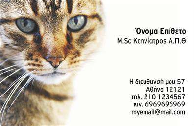Επαγγελματική κάρτα για ΚτηνίατρουςΑυτή η εντυπωσιακή επαγγελματική κάρτα για κτηνίατρους έχει σχεδιαστεί με επαγγελματικά κριτήρια, συνδυάζοντας κομψότητα και λειτουργικότητα. Τα ζωντανά χρώματα και η ισορροπημένη διάταξη προσφέρουν μια αισθητική που αναδεικνύει την αγάπη και τη φροντίδα για τα ζώα, υπογραμμίζοντας παράλληλα την αξιοπιστία του επαγγέλματος. Η απαλή γραμματοσειρά που χρησιμοποιείται, μαζί με την όμορφη εικόνα που πλαισιώνει την κάρτα, αποπνέει επαγγελματισμό.Το σχέδιο της κάρτας αντανακλά τη δυναμική του κτηνιατρικού επαγγέλματος, δημιουργώντας μια θετική πρώτη εντύπωση στους πελάτες. Κάθε στοιχείο της κάρτας έχει σχεδιαστεί ώστε να ενισχύει την αξιοπιστία και την εξειδίκευση του κτηνίατρου, δίνοντας έμφαση στη σημασία της φροντίδας των ζώων.Η προσαρμοστικότητα της κάρτας είναι επίσης ένα σημαντικό πλεονέκτημα, καθώς μπορείτε εύκολα να προσθέσετε στοιχεία όπως το όνομά σας, τον αριθμό τηλεφώνου σας και το λογότυπο της κλινικής σας, κάνοντάς την ακόμα πιο προσωπική και λειτουργική.Αυτή η κάρτα μπορεί να προβάλει τις υπηρεσίες σας με έναν εντυπωσιακό τρόπο, προσκαλώντας τους πελάτες να επισκεφθούν την κλινική σας. Οι δυνατότητες εκτύπωσης επιτρέπουν τη δημιουργία μιας κάρτας που θα σας ξεχωρίσει από τους υπόλοιπους επαγγελματίες του κλάδου, αφήνοντας μια θετική και μνημονεύσιμη εντύπωση στους πελάτες σας.Μπορείτε να κάνετε όποιες αλλαγές θέλετε μέσω του online σχεδιαστικού εργαλείου.